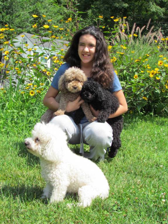 Despedida do trio de poodles da Amy e do Joe, na Pennsylvania, nos Estados Unidos